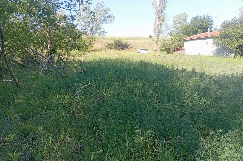 CENTURY 21 VİZYONDAN ULUDERE MAHALLESİNDE 1291 M2 SATILIK TARLA
