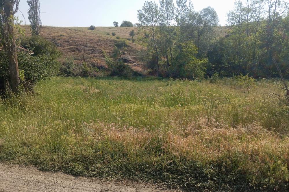 CENTURY 21 VİZYONDAN ULUDERE MAHALLESİNDE 1291 M2 SATILIK TARLA