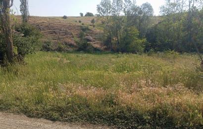 CENTURY 21 VİZYONDAN ULUDERE MAHALLESİNDE 1291 M2 SATILIK TARLA
