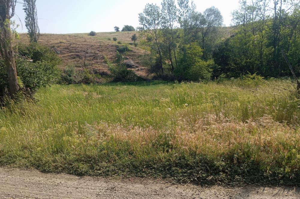 CENTURY 21 VİZYONDAN ULUDERE MAHALLESİNDE 1291 M2 SATILIK TARLA
