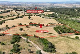 C21 WİNNER OVABAYINDIR'DA 11.605m² SATILIK TARLA
