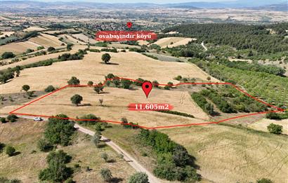 C21 WİNNER OVABAYINDIR'DA 11.605m² SATILIK TARLA