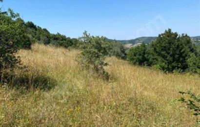 BİGA BEZİRGANLAR'DA TEK TAPU SATILIK FIRSAT TARLA