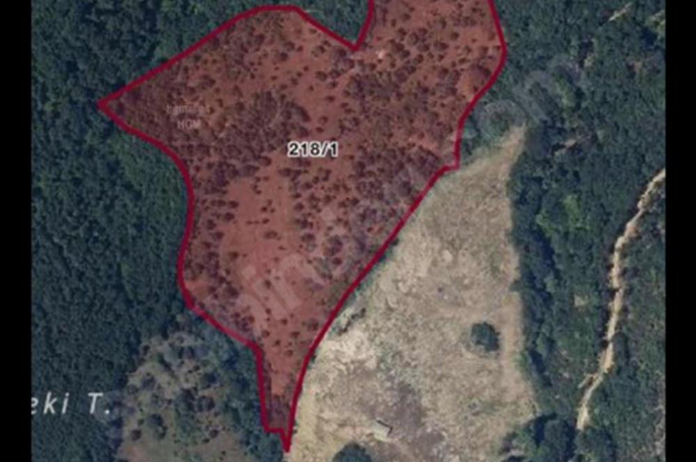 BİGA BEZİRGANLAR'DA TEK TAPU SATILIK FIRSAT TARLA