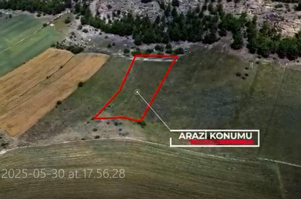 SİNOP BOYABAT YOLUNA ÇOK YAKIN 2092 M2 TARLA SATILIKTIR.