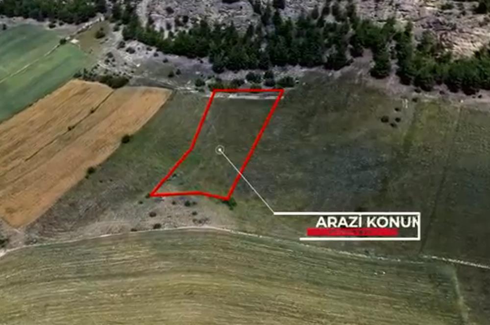 SİNOP BOYABAT YOLUNA ÇOK YAKIN 2092 M2 TARLA SATILIKTIR.
