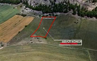 SİNOP BOYABAT YOLUNA ÇOK YAKIN 2092 M2 TARLA SATILIKTIR.