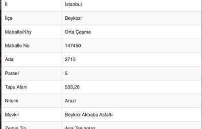 BEYKOZ DA HEM YATIRIM HEM KULLANIM İÇİN FIRSAT ARSA