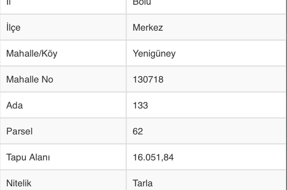 Bolu merkez yenigüney köyü tarla