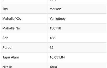 Bolu merkez yenigüney köyü tarla