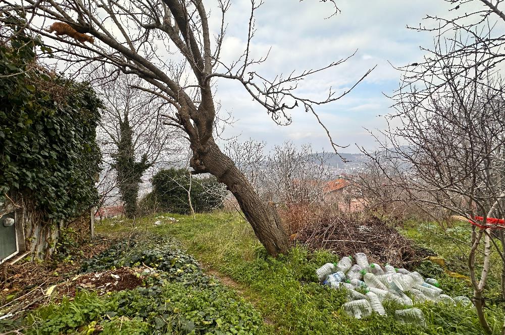 BEYKOZ DA HEM YATIRIM HEM KULLANIM İÇİN FIRSAT ARSA