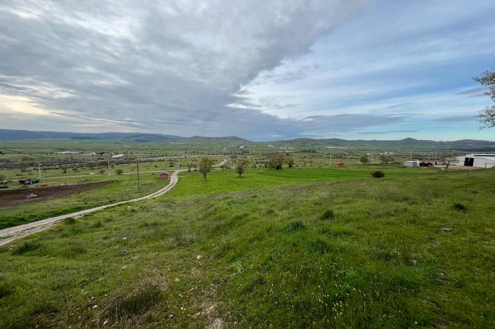 C21 LOCA'DAN GÖKÇEYAZI KÖSEAĞALAR MAHALLESİNDE 3750m2 TARLA