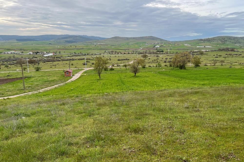 C21 LOCA'DAN GÖKÇEYAZI KÖSEAĞALAR MAHALLESİNDE 3750m2 TARLA