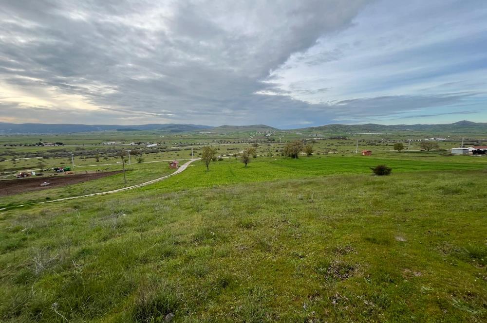 C21 LOCA'DAN GÖKÇEYAZI KÖSEAĞALAR MAHALLESİNDE 3750m2 TARLA