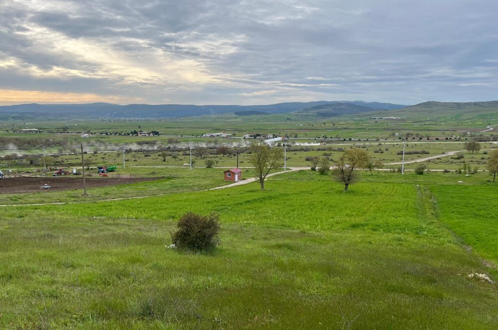 C21 LOCA'DAN GÖKÇEYAZI KÖSEAĞALAR MAHALLESİNDE 3750m2 TARLA
