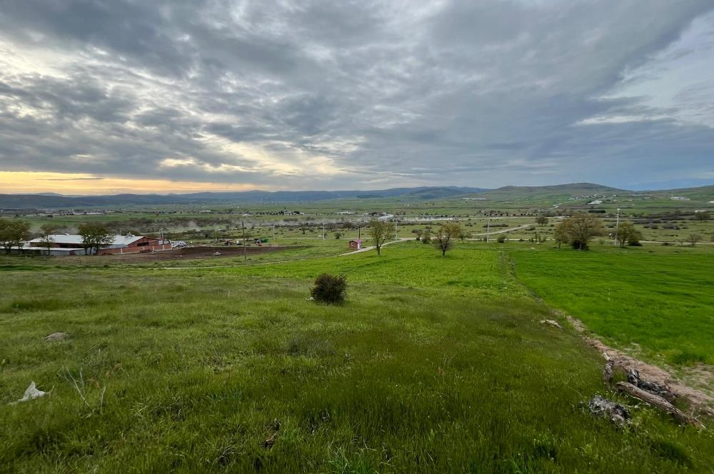 C21 LOCA'DAN GÖKÇEYAZI KÖSEAĞALAR MAHALLESİNDE 3750m2 TARLA