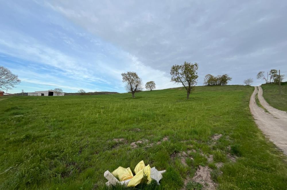 C21 LOCA'DAN GÖKÇEYAZI KÖSEAĞALAR MAHALLESİNDE 3750m2 TARLA