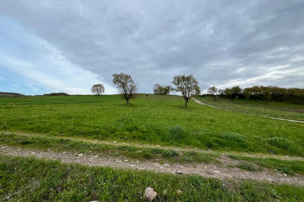 C21 LOCA'DAN GÖKÇEYAZI KÖSEAĞALAR MAHALLESİNDE 3750m2 TARLA