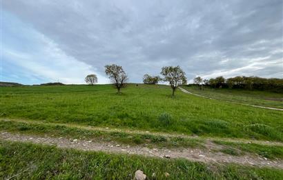 C21 LOCA'DAN GÖKÇEYAZI KÖSEAĞALAR MAHALLESİNDE 3750m2 TARLA