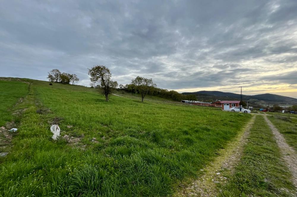 C21 LOCA'DAN GÖKÇEYAZI KÖSEAĞALAR MAHALLESİNDE 3750m2 TARLA