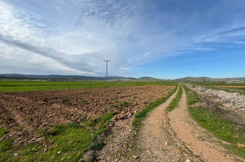 C21 LOCA'DAN GÖKÇEYAZI YENİ MAHALLEDE 1200m2 KÖŞE PARSEL TARLA