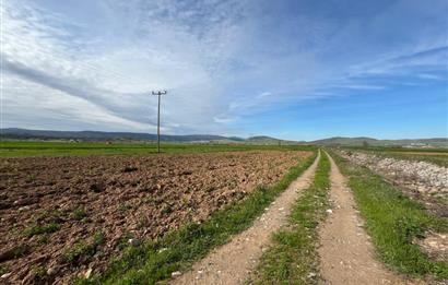 C21 LOCA'DAN GÖKÇEYAZI YENİ MAHALLEDE 1200m2 KÖŞE PARSEL TARLA