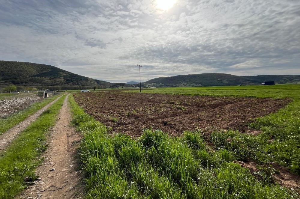 C21 LOCA'DAN GÖKÇEYAZI YENİ MAHALLEDE 1200m2 KÖŞE PARSEL TARLA