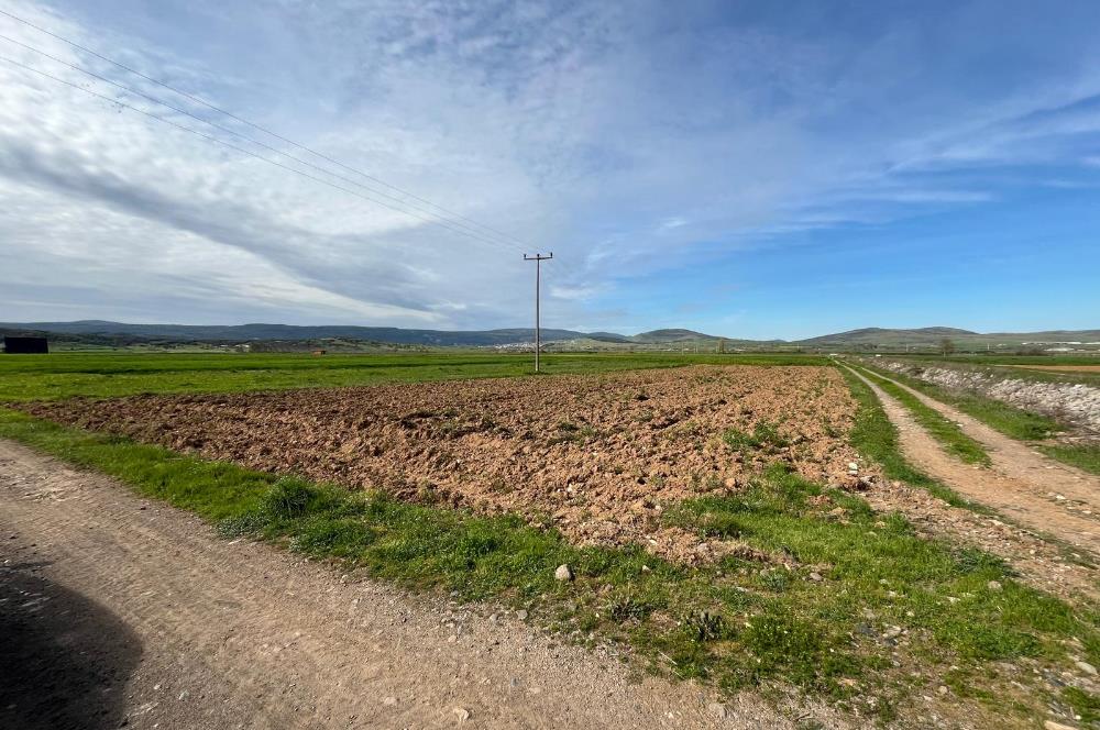 C21 LOCA'DAN GÖKÇEYAZI YENİ MAHALLEDE 1200m2 KÖŞE PARSEL TARLA