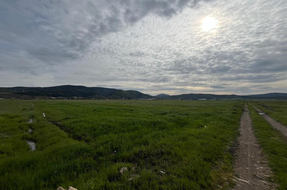 C21 LOCA'DAN GÖKÇEYAZI ORTA MAHALLEDE 1550m2 TARLA