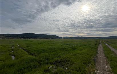 C21 LOCA'DAN GÖKÇEYAZI ORTA MAHALLEDE 1550m2 TARLA
