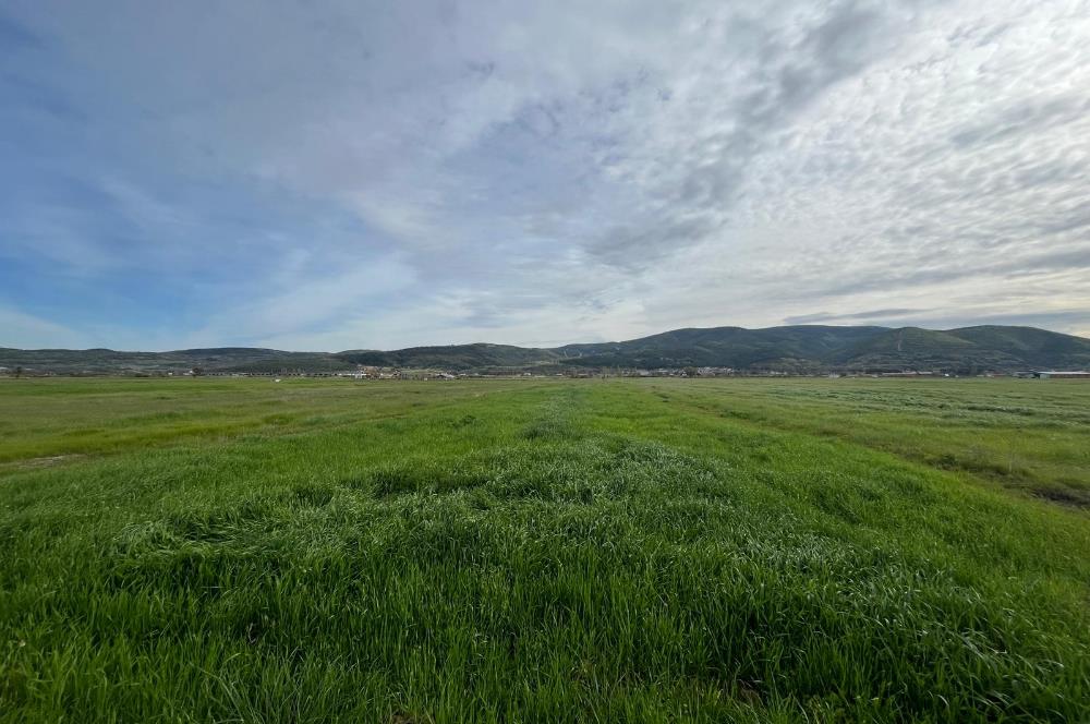 C21 LOCA'DAN GÖKÇEYAZI ORTA MAHALLEDE 1550m2 TARLA