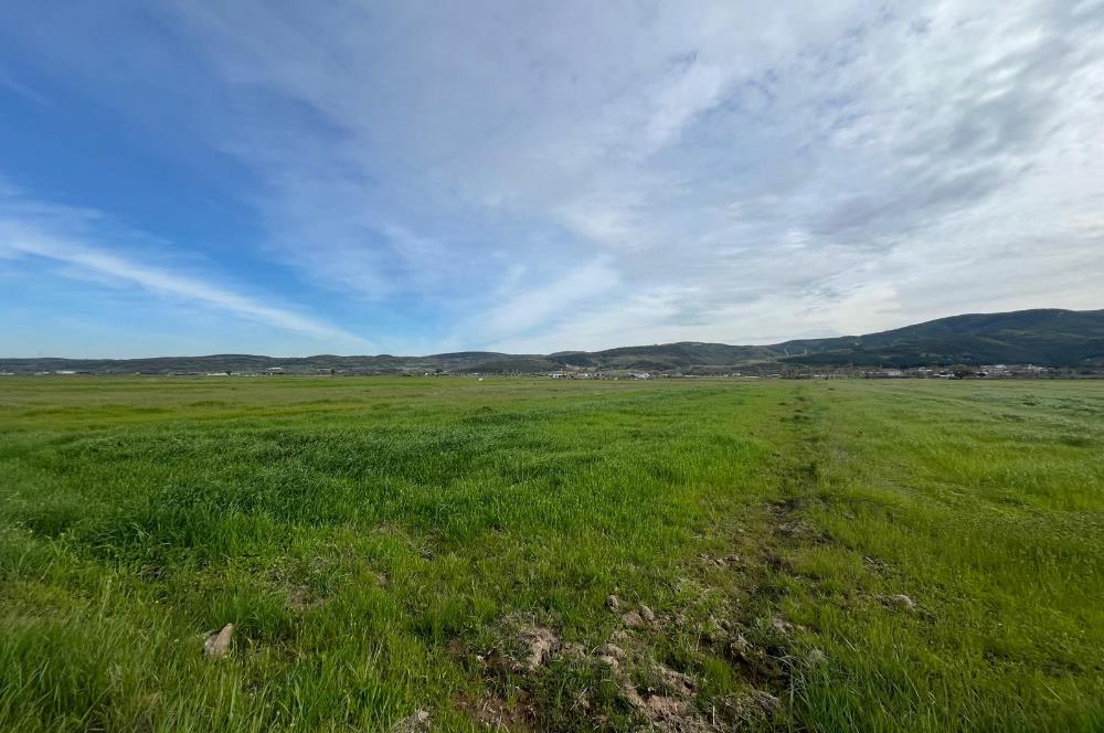 C21 LOCA'DAN GÖKÇEYAZI ORTA MAHALLEDE 1550m2 TARLA