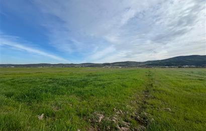 C21 LOCA'DAN GÖKÇEYAZI ORTA MAHALLEDE 1550m2 TARLA