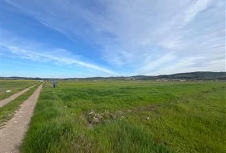 C21 LOCA'DAN GÖKÇEYAZI ORTA MAHALLEDE 1550m2 TARLA