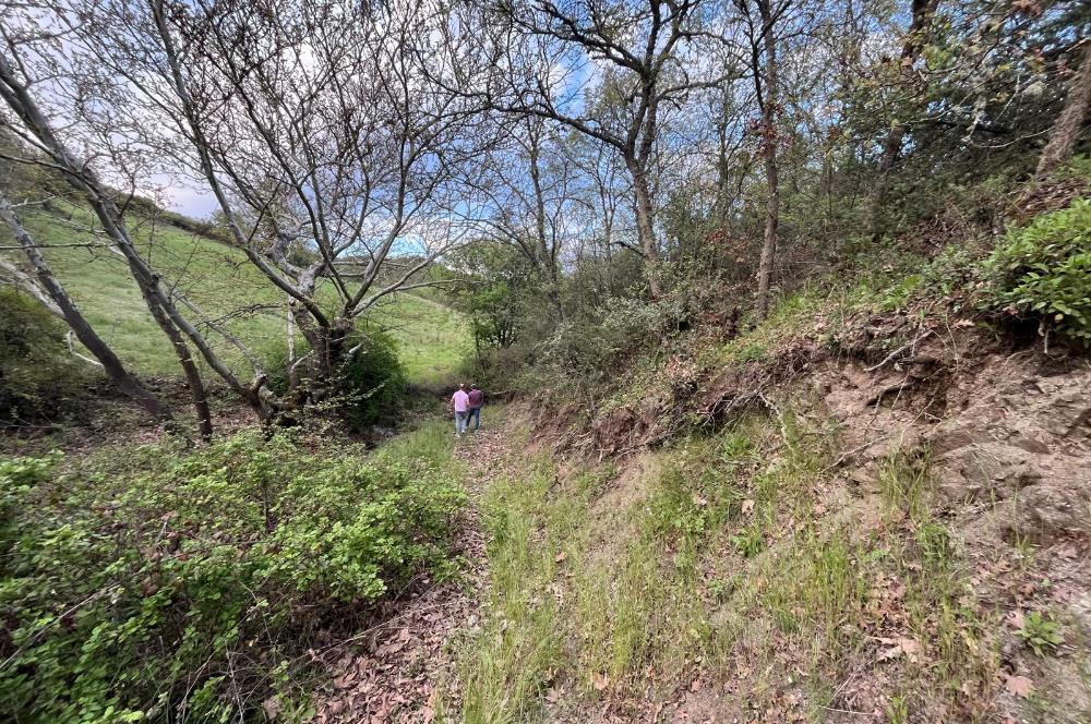 C21 LOCA'DAN KUTLUDÜĞÜN MAH.ACİL SATILIK 6724 m2 TARLA