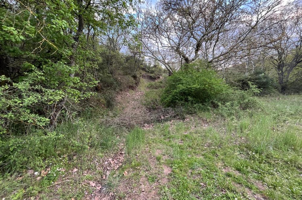 C21 LOCA'DAN KUTLUDÜĞÜN MAH.ACİL SATILIK 6724 m2 TARLA