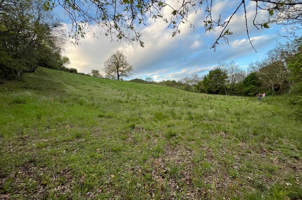 C21 LOCA'DAN KUTLUDÜĞÜN MAH.ACİL SATILIK 6724 m2 TARLA