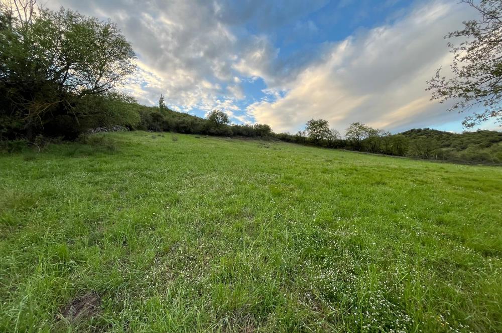 C21 LOCA'DAN KUTLUDÜĞÜN MAH.ACİL SATILIK 6724 m2 TARLA