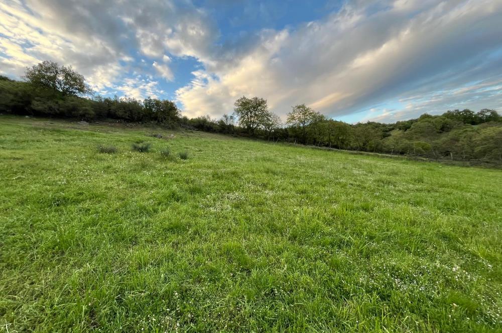 C21 LOCA'DAN KUTLUDÜĞÜN MAH.ACİL SATILIK 6724 m2 TARLA