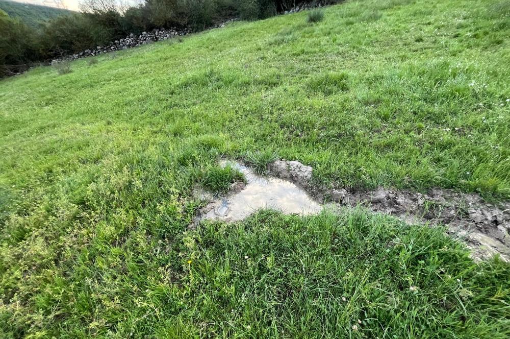 C21 LOCA'DAN KUTLUDÜĞÜN MAH.ACİL SATILIK 6724 m2 TARLA