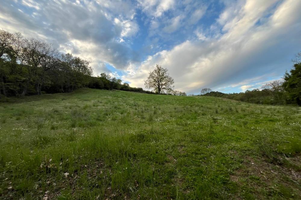 C21 LOCA'DAN KUTLUDÜĞÜN MAH.ACİL SATILIK 6724 m2 TARLA