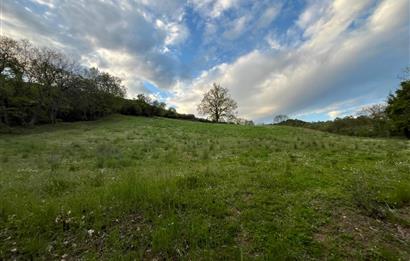 C21 LOCA'DAN KUTLUDÜĞÜN MAH.ACİL SATILIK 6724 m2 TARLA