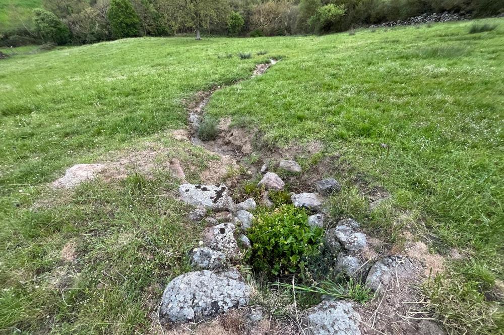 C21 LOCA'DAN KUTLUDÜĞÜN MAH.ACİL SATILIK 6724 m2 TARLA