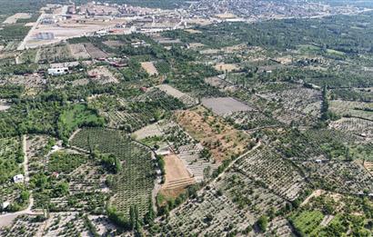 Denizli Honaz’Da Satılık B