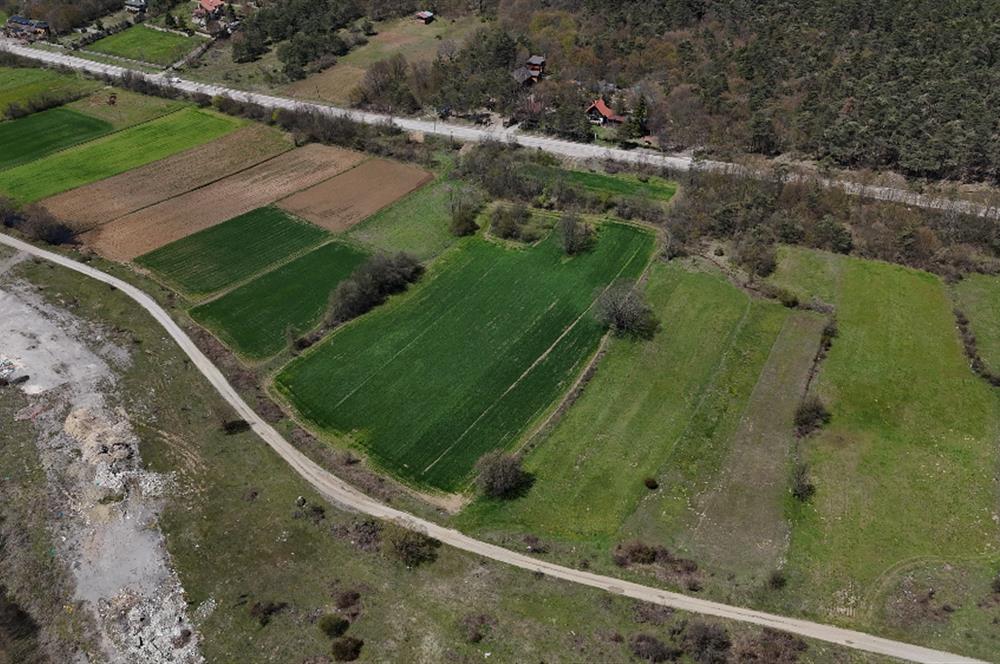Abant yolu satılık tarla
