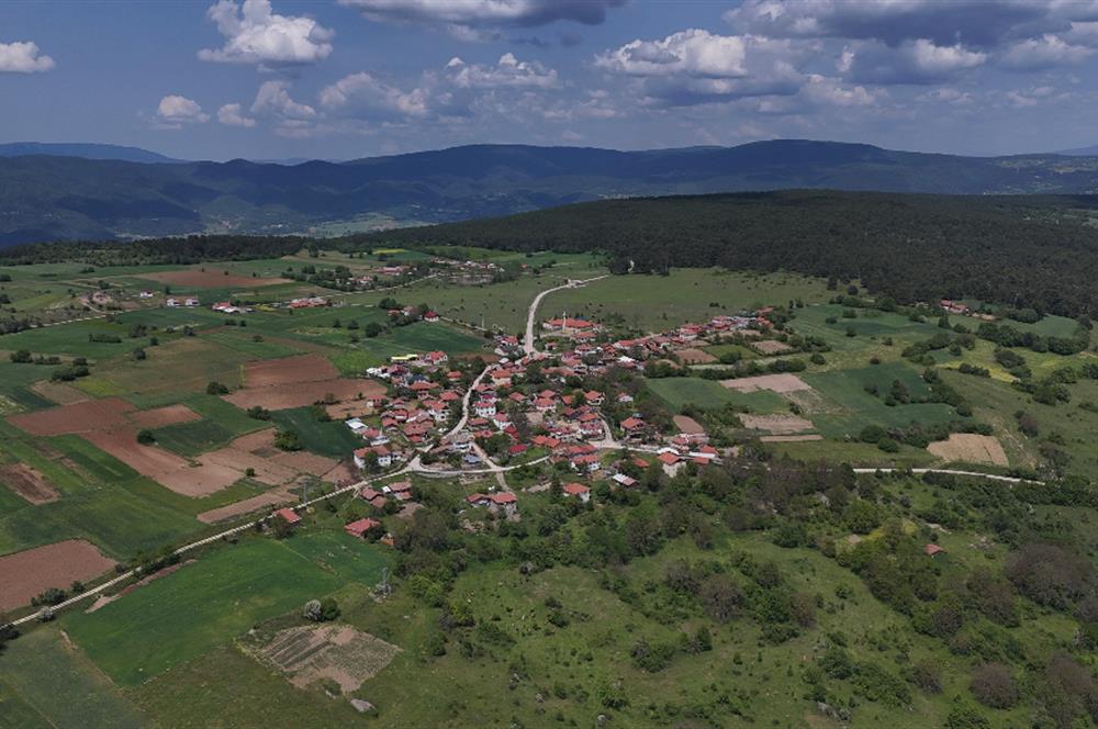 Bolu merkez yenigüney köyü tarla