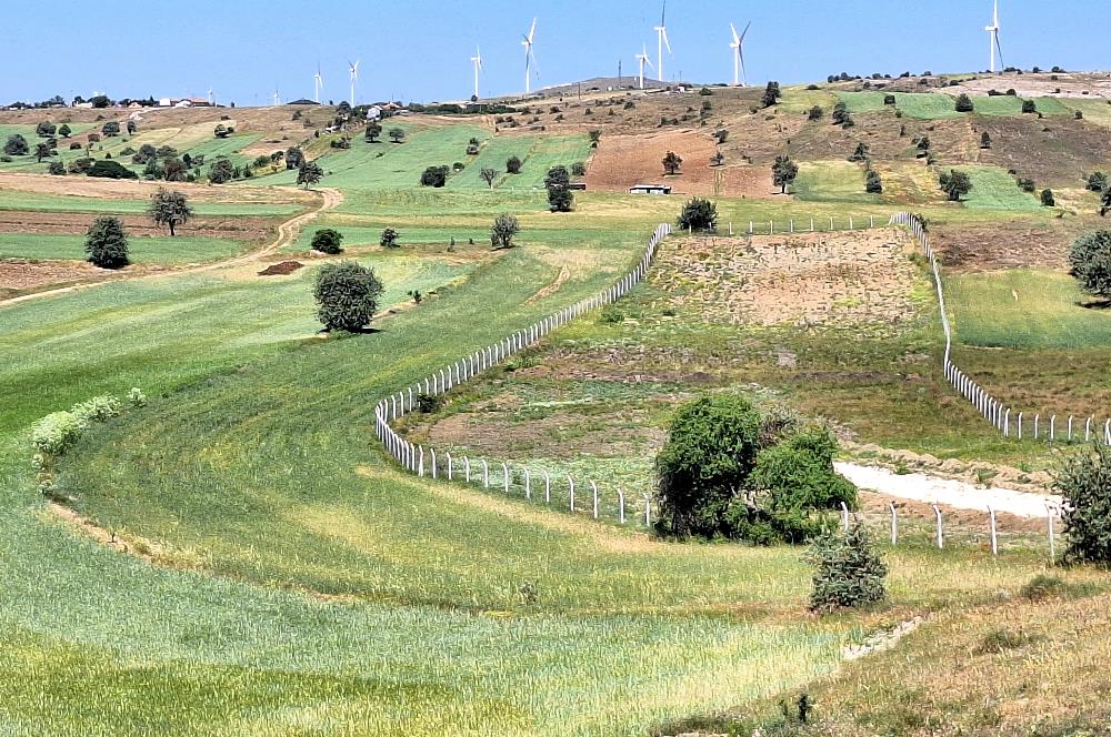 CENTURY 21 VİZYON'DAN BULDUKPINARI'NDA SATILIK TARLA