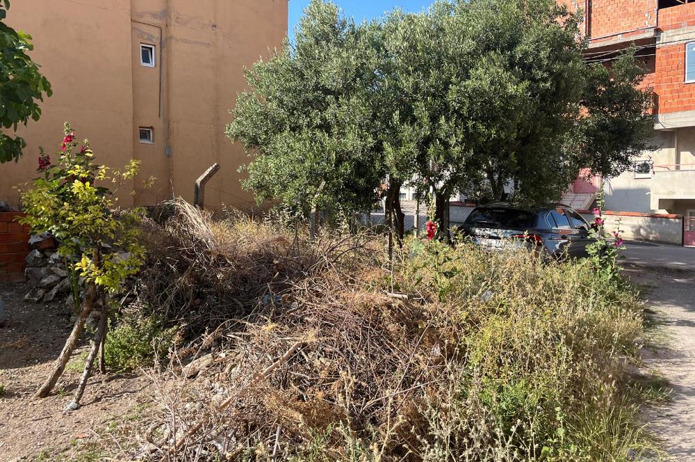 CENTURY21 BAL'DAN 2.SAKARYA MAHALLESİNDE SATILIK ARSA