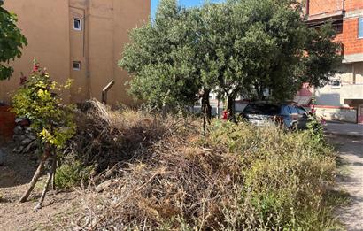 CENTURY21 BAL'DAN 2.SAKARYA MAHALLESİNDE SATILIK ARSA