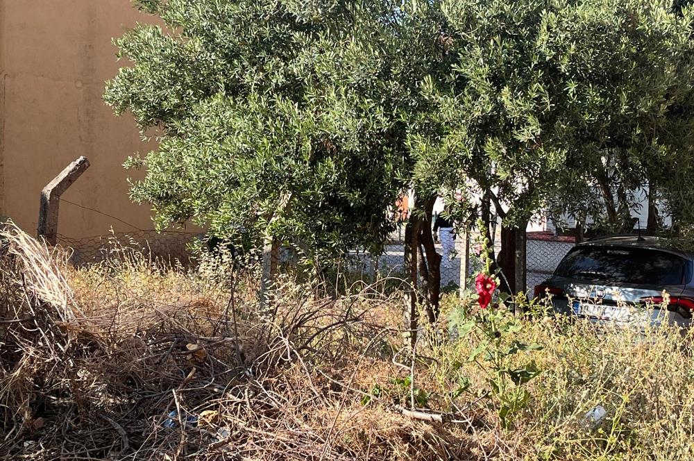 CENTURY21 BAL'DAN 2.SAKARYA MAHALLESİNDE SATILIK ARSA